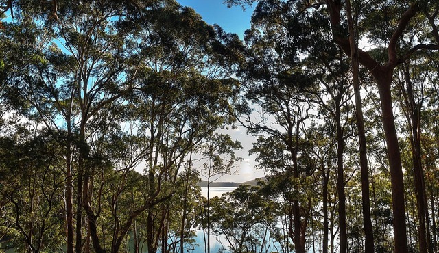 Aqua Vista - Stunning lake and tree top views. Relaxing Holiday