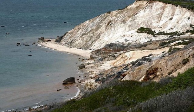 Aquinnah condo at cliffs, walk to beach!