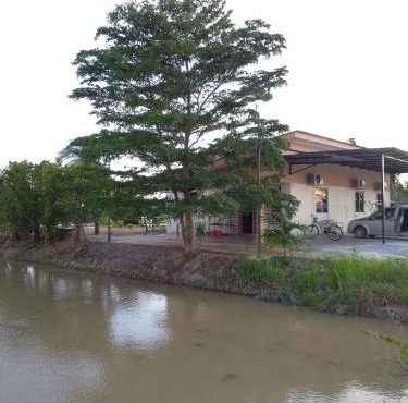 Arau Pulau Hilir Home