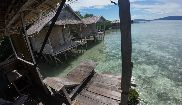 Arborek Dive Homestay