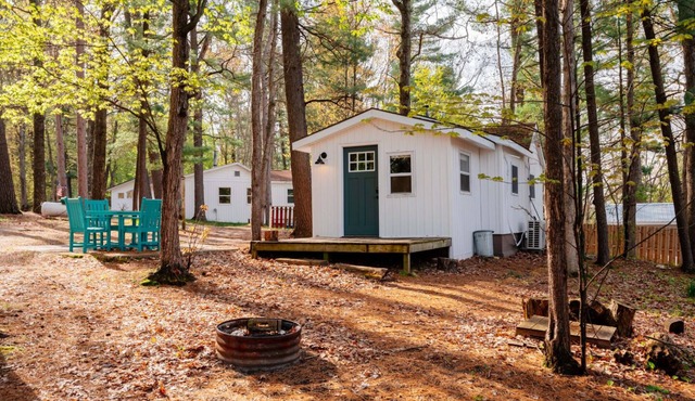 Arbutus Lake Cozy Cabin-Pontoon Rentals Available