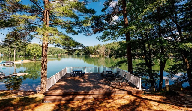 Arbutus Lake - Lakeview King Suite - Pines - Pets OK