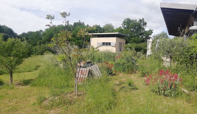 Architect cottage in the garrigue