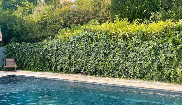 ARCHITECT DESIGNED HOME WITH STUNNING PANORAMIC VIEW AND SWIMMING POOL