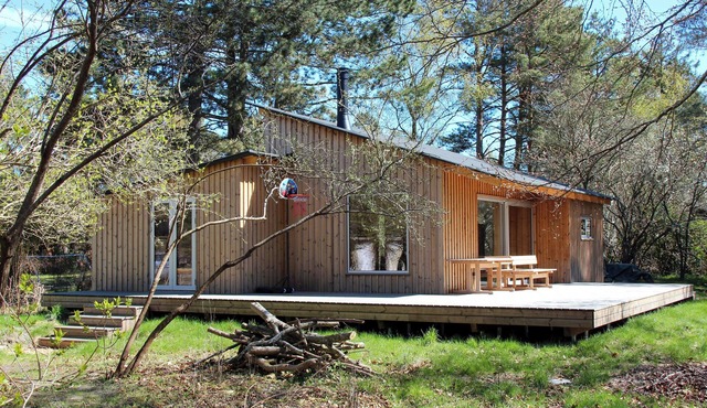 Architect-designed house surrounded by nature