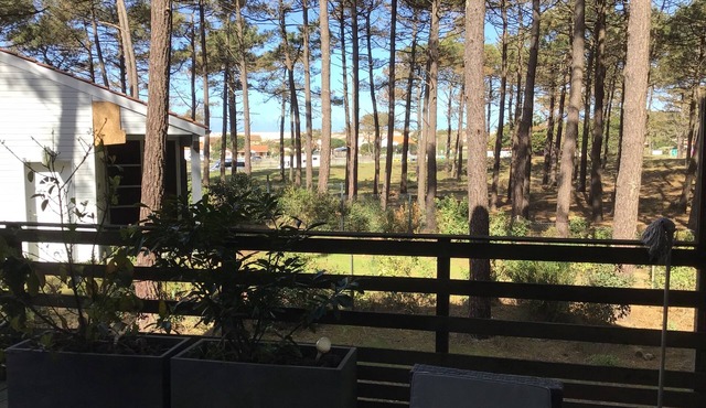 ARCHITECT HOUSE 300M FROM THE BEACH - 4 bedrooms