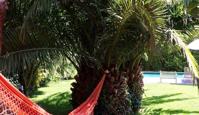 Architect VILLA 220 m2 swimming pool jacuzzi park 2,600 m2 4 bedrooms boules court