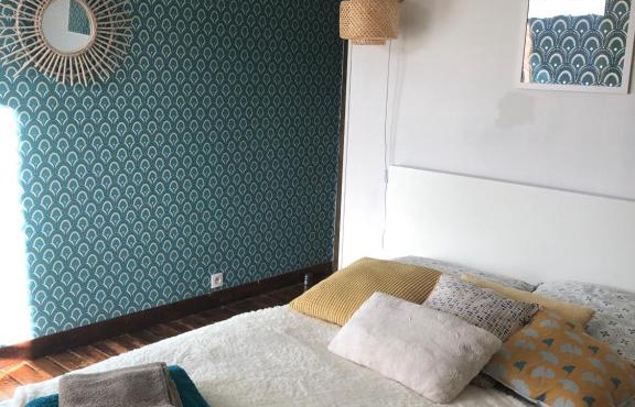 ardoises et agapanthes