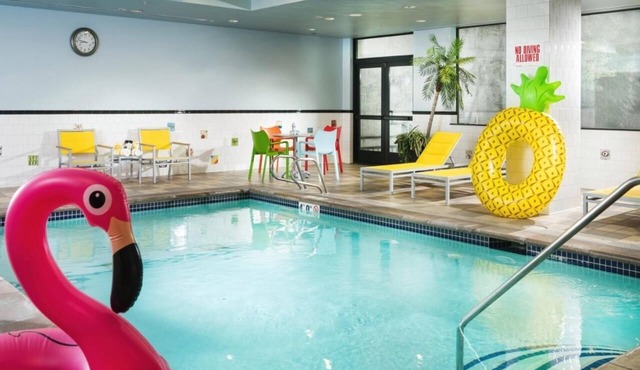 Aria King at The Maxwell: Indoor Pool, Pet-Friendly, Near Seattle Center