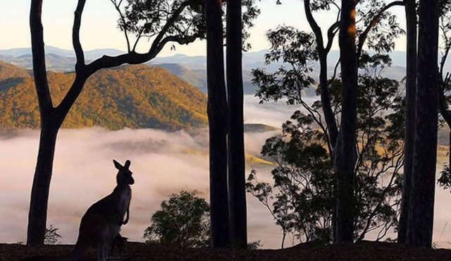 Arinya Lodge - Mountaintop Wilderness Escape