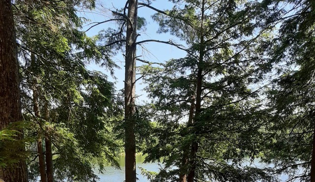 Armishaw Lake Muskoka cottage on a private lake!