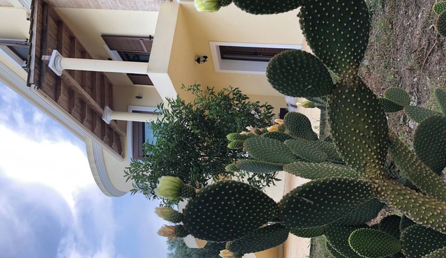 AROMIA CORFU IN CORFU The apartment is located in a villa in the area of Paliο