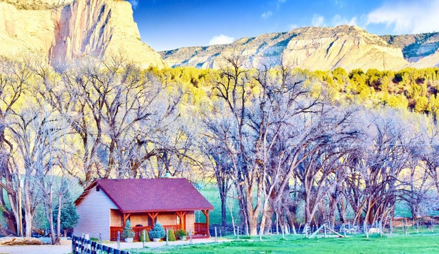 Arrowhead Country Cabins
