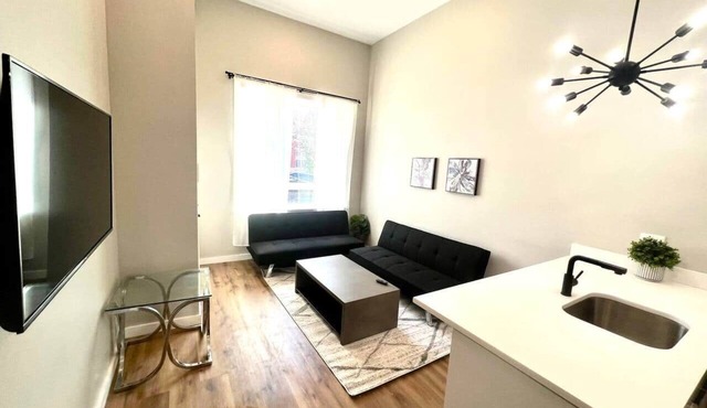 Art museum area 2 bedroom bilevel big unit &yard.