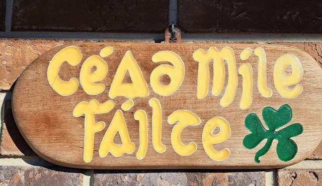 Art Under the Oaks Bed and Breakfast