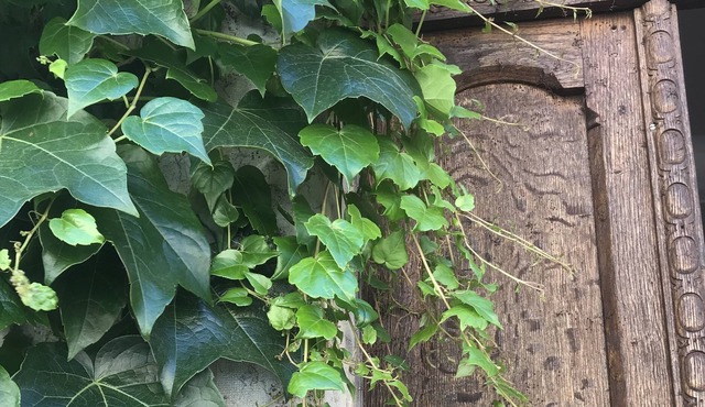 Artist's house on the shores of the Mediterranean