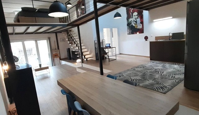 Artist's studio converted into a Loft