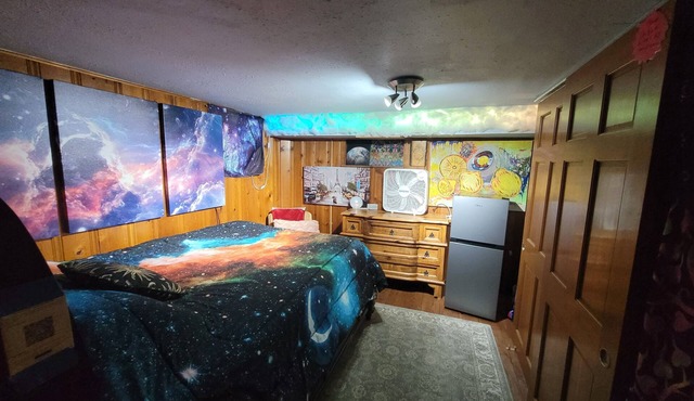 Artistic, clean Lg Basement Studio W/24hr Hottub & Lg private yard. City Oasis.