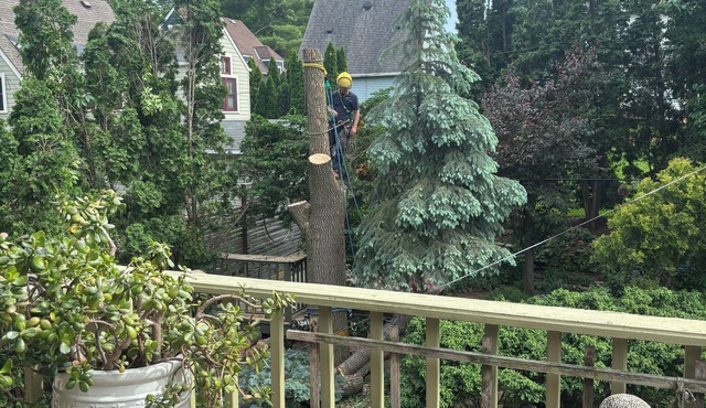 Arts and Crafts Near West Home and Garden WiFi, AC