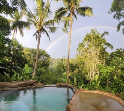 Artsy Cabin Jungle Pool & Unique Car Bath
