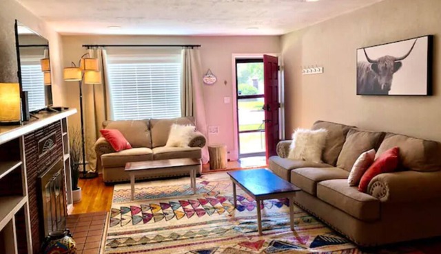 Artsy House in Downtown Alamosa STR 2957