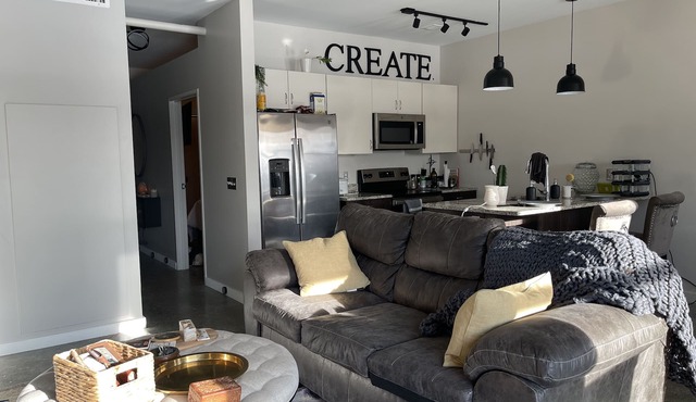 Artsy Modern Industrial Style APT