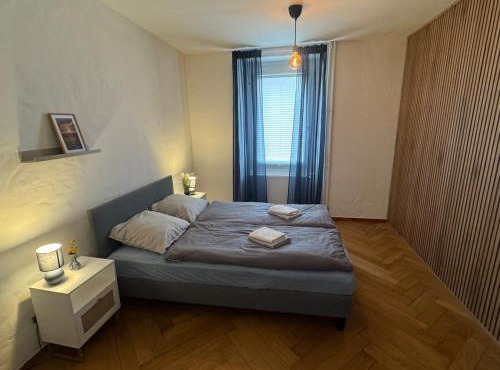 Artsy und Cosy nahe Norvatis Campus in Basel St Johann