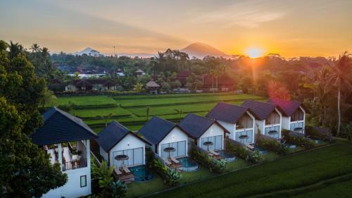 Ascarya Ubud