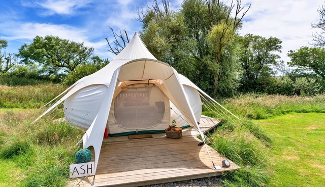 Ash Lotus Belle Tent