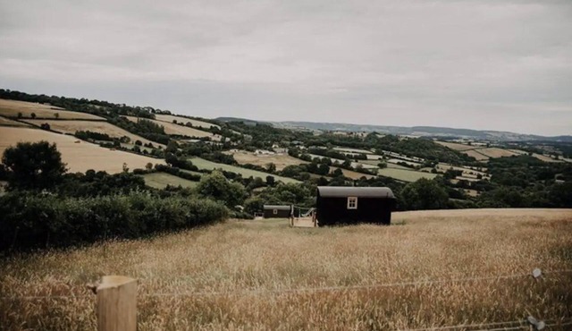 Ash Shepherd's Hut, Wiveliscombe