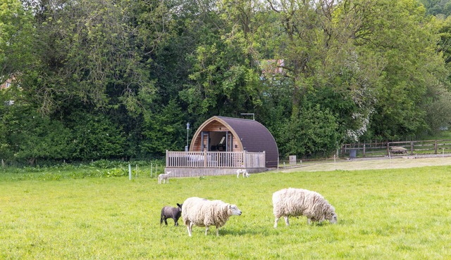 Ashberry Glamping Pod - sleeps 2