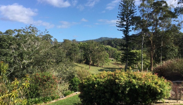 Ashcroft - fully self contained studio, pool, mountain views, Tweed Art Gallery.