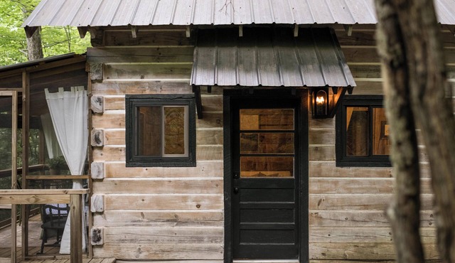 Asheville Ivy Cabin - Superhost