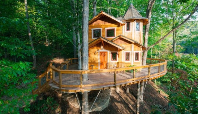 Asheville's luxury treehouse!
