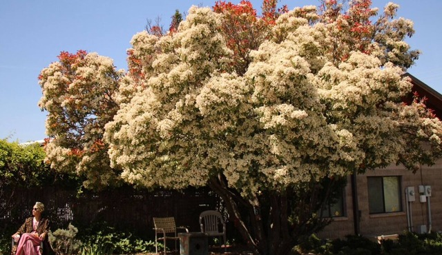 Ashland Commons Hostel