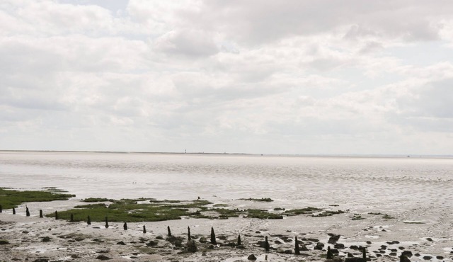 ASHTREE COTTAGE, pet friendly, country holiday cottage in Ottringham