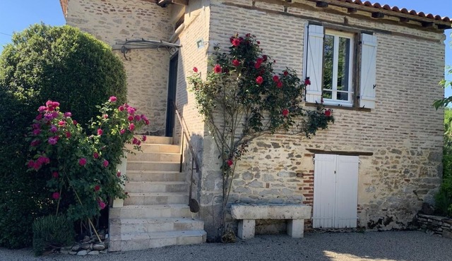 Ashy Heron - DOUELLE