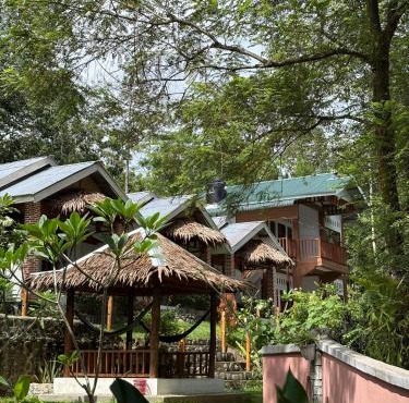 Asim Paris Guesthouse & jungle trekking