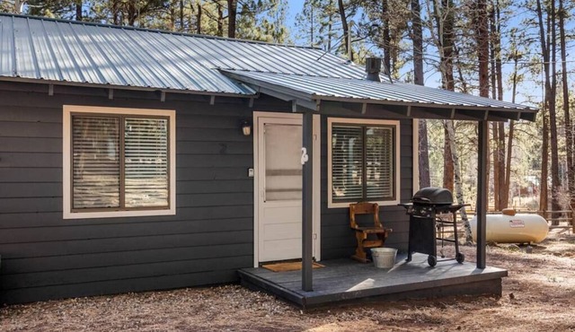 Aspen Cabin 2