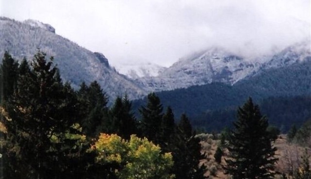 Aspen Cabin Near Yellowstone - Horse Rides, Zip Lining, Rafting, Hiking