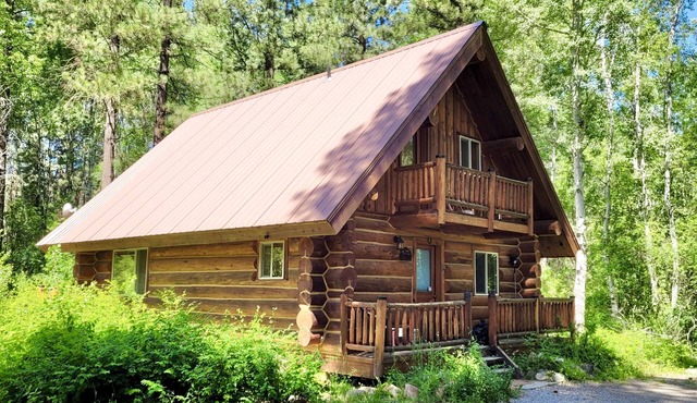 Aspen Hollow Cabin-Dog Friendly, Close to River and Walk to Ski Trail!
