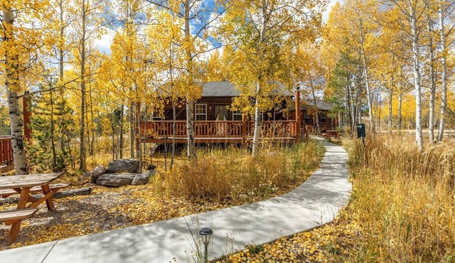 Aspen Leaf Lodges is back with 4 newly renovated cabins