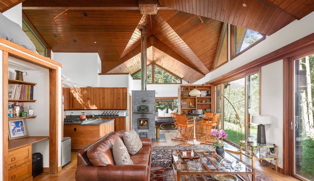 Aspen Mountain Gem: 2 Luxury Cabins on 10 Ac w/ HOT TUB + Views!