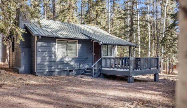 Aspen Pine Retreat (4)