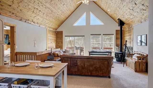 Aspen View Cabin Summ