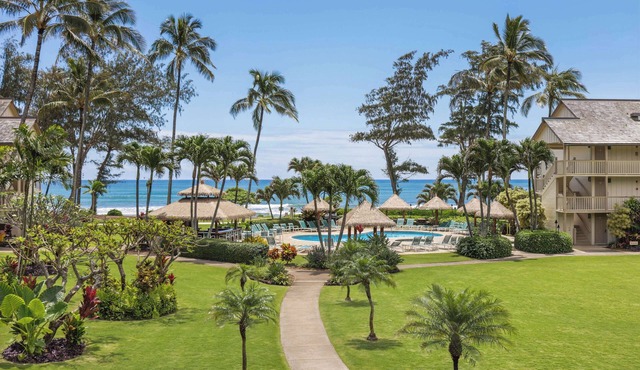Aston Islander on the Beach