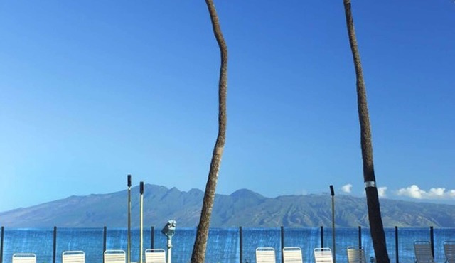 Aston Kaanapali Shores -1BR Ocean View/Full Kitchen- NO Resort or Cleaning Fees