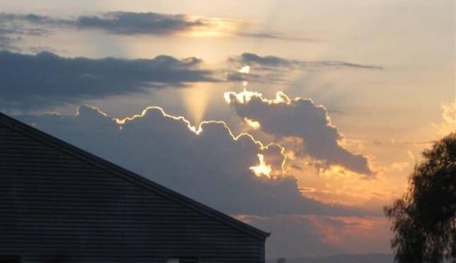 Astoria Park Cottage - 500 acres sheep, kangaroos, walabies, birdlife, views.