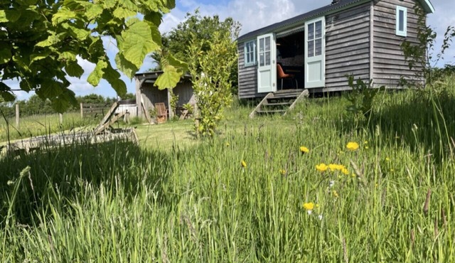 Astronomer Hut-glorious views with hot tub