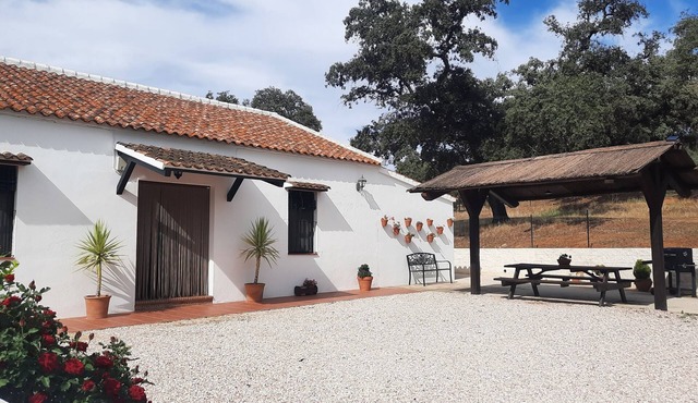At Casa Rural La Dehesilla you can enjoy nature in its purest form.